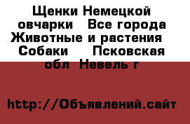Щенки Немецкой овчарки - Все города Животные и растения » Собаки   . Псковская обл.,Невель г.